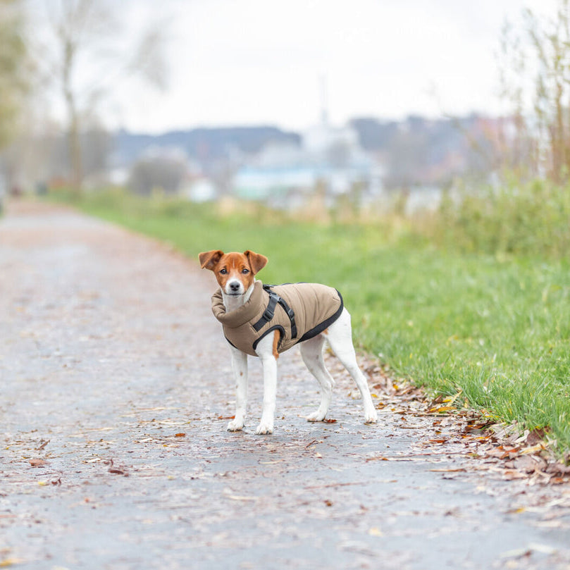 TRIXIE Geschirr-Wintermantel Pirou