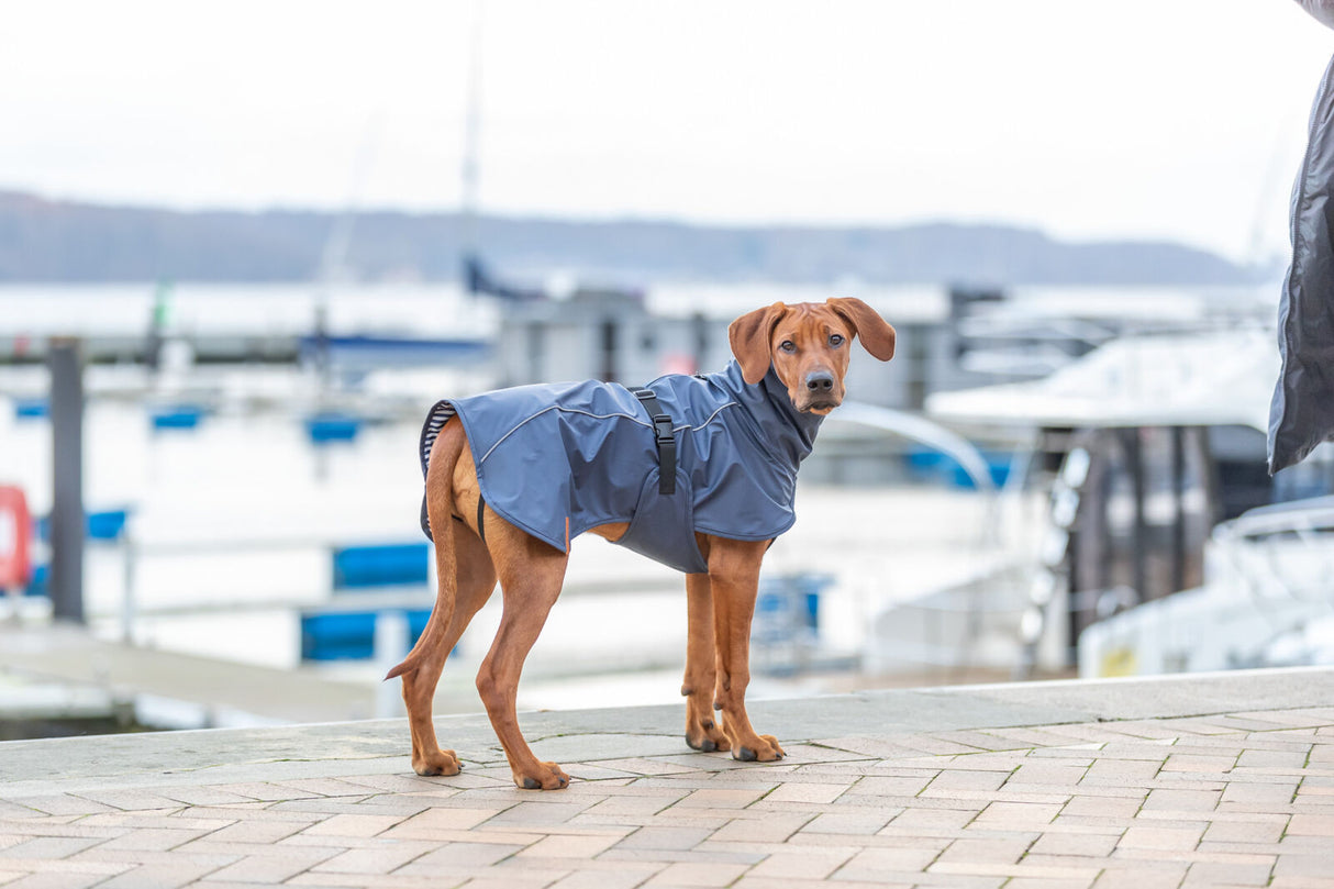TRIXIE BE NORDIC Regenmantel Husum