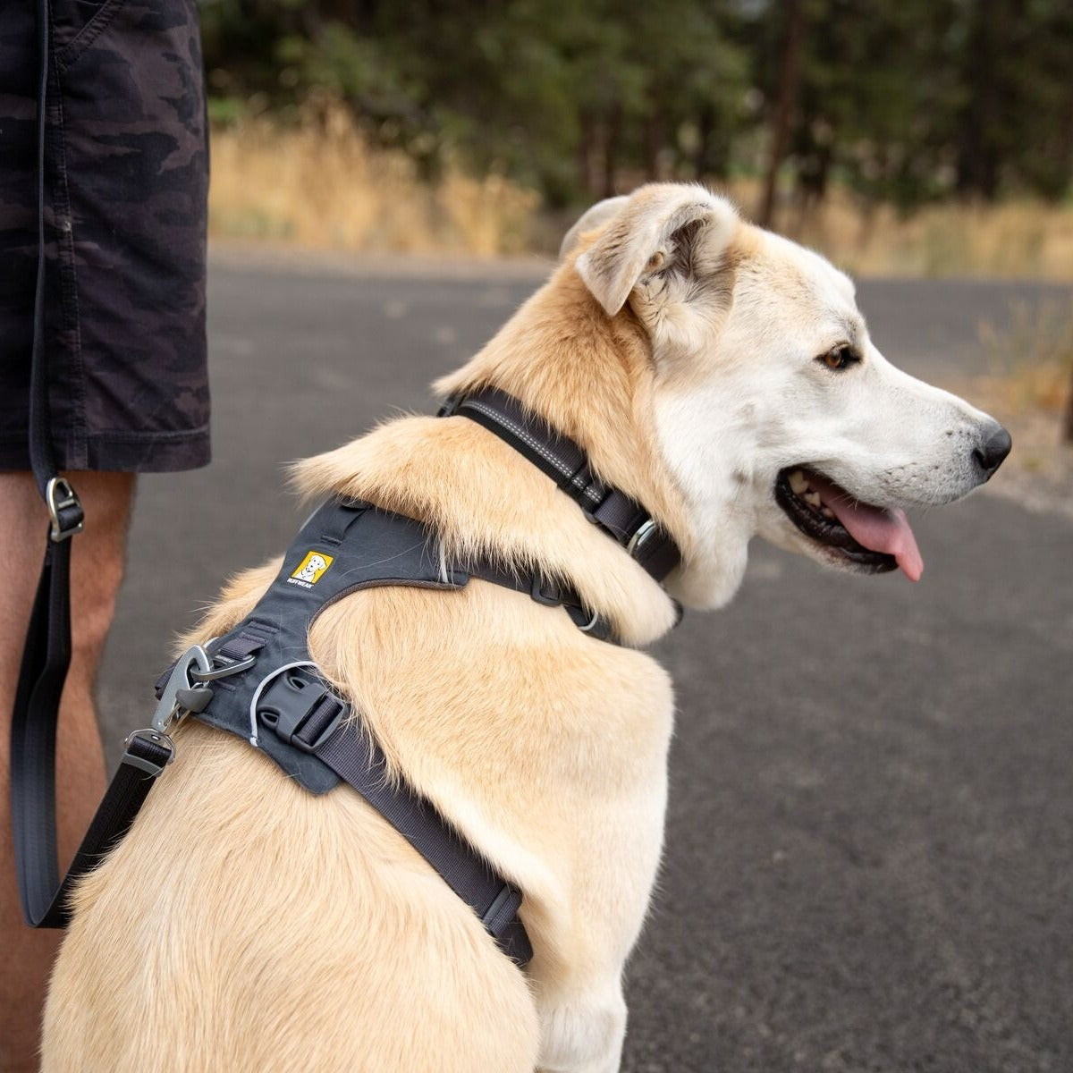 RUFFWEAR Hundegeschirr Front Range™ Harness