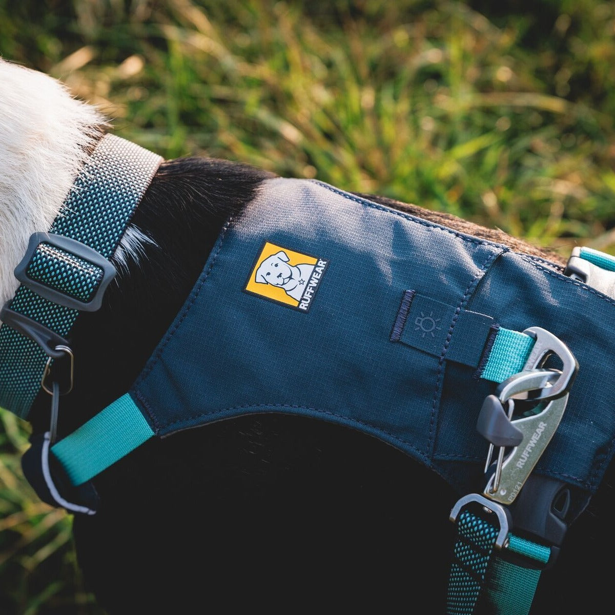 RUFFWEAR Hundegeschirr Hi & Light Harness