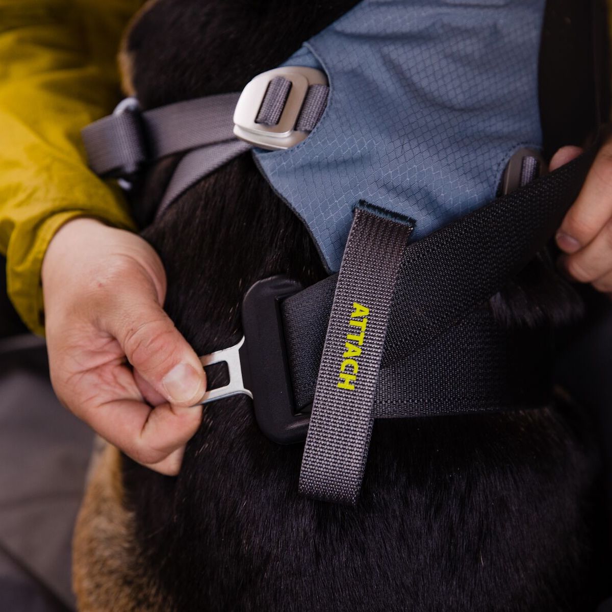 RUFFWEAR Hundegeschirr Load Up™ Harness
