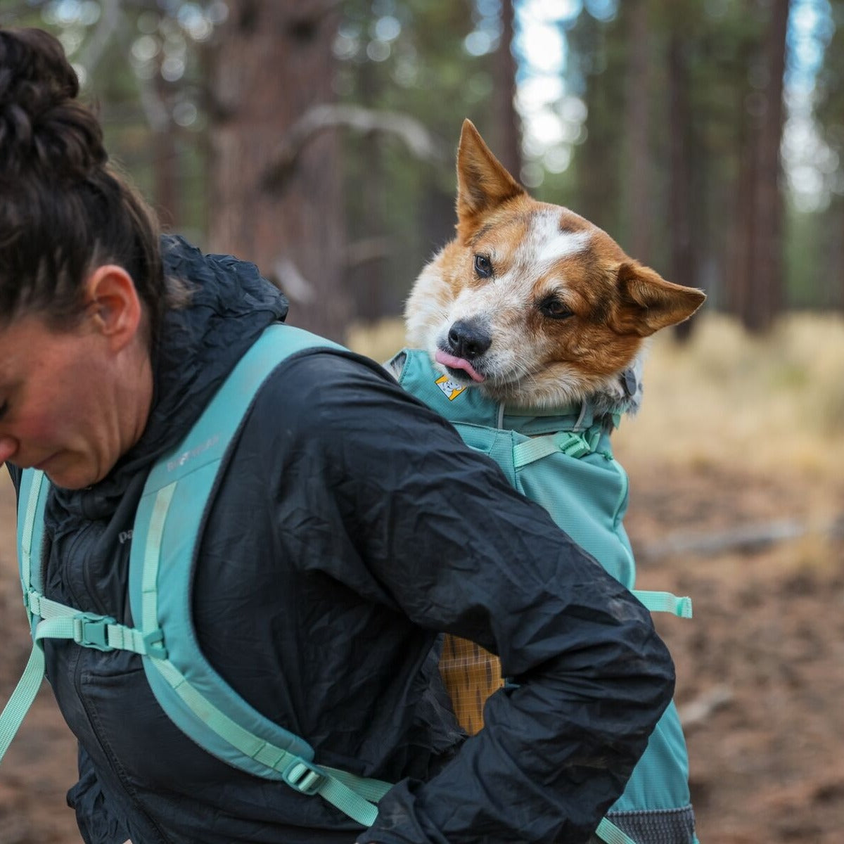 RUFFWEAR Hunderucksack Hitch Hiker Dog Backpack Carrier