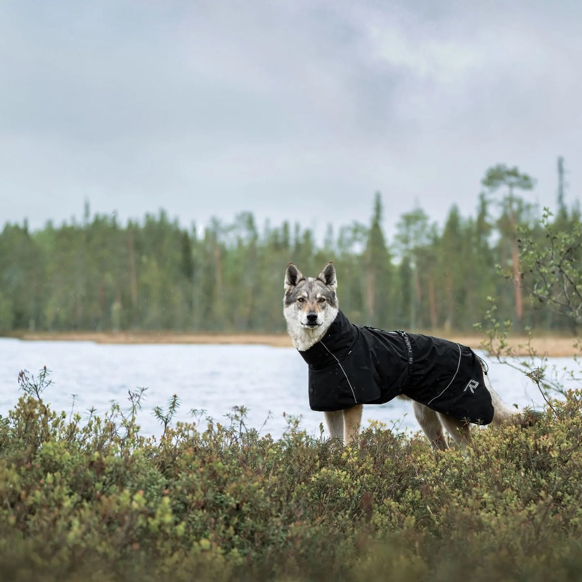 RUKKA PETS Regenmantel Hayton X
