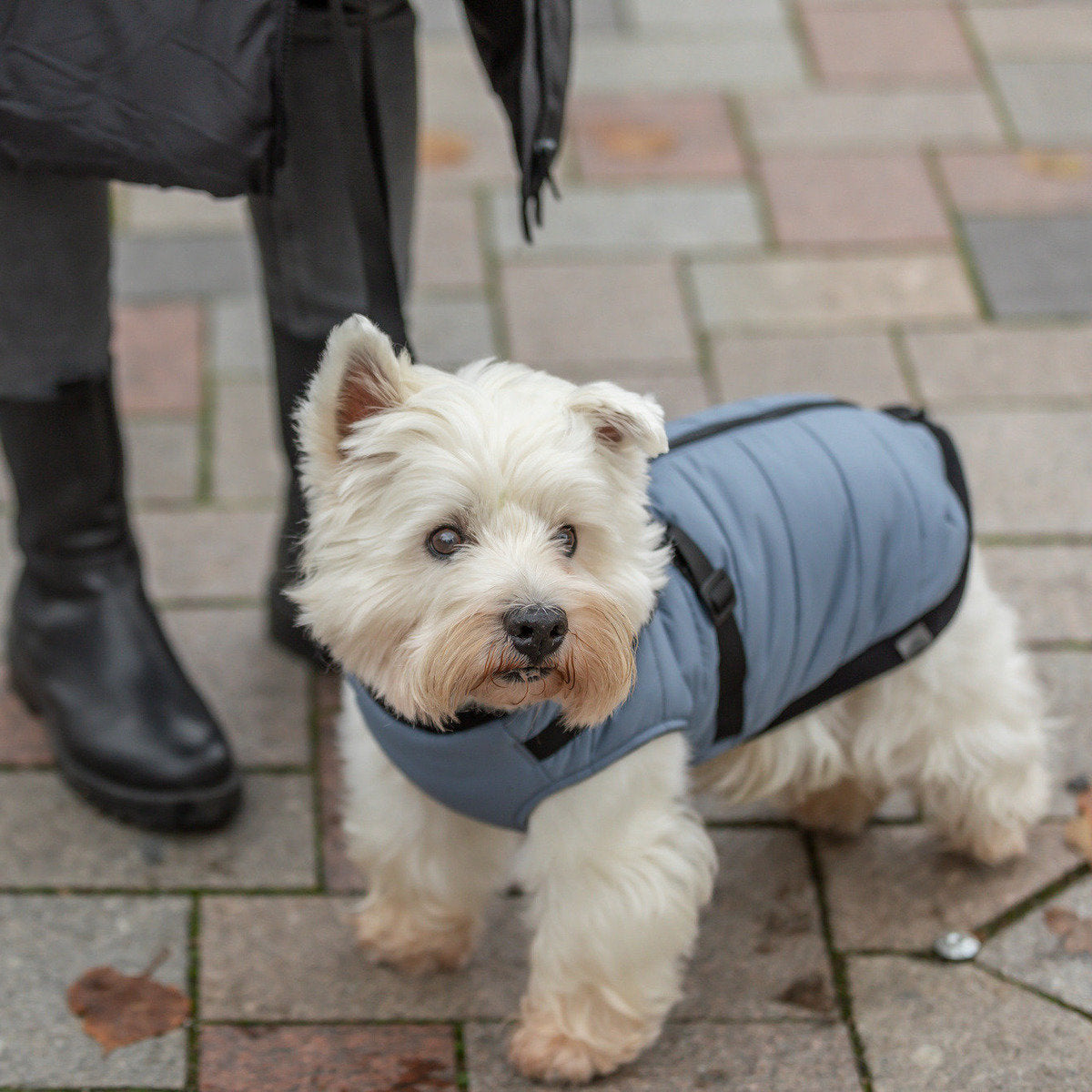 TRIXIE Geschirr-Mantel Pontis
