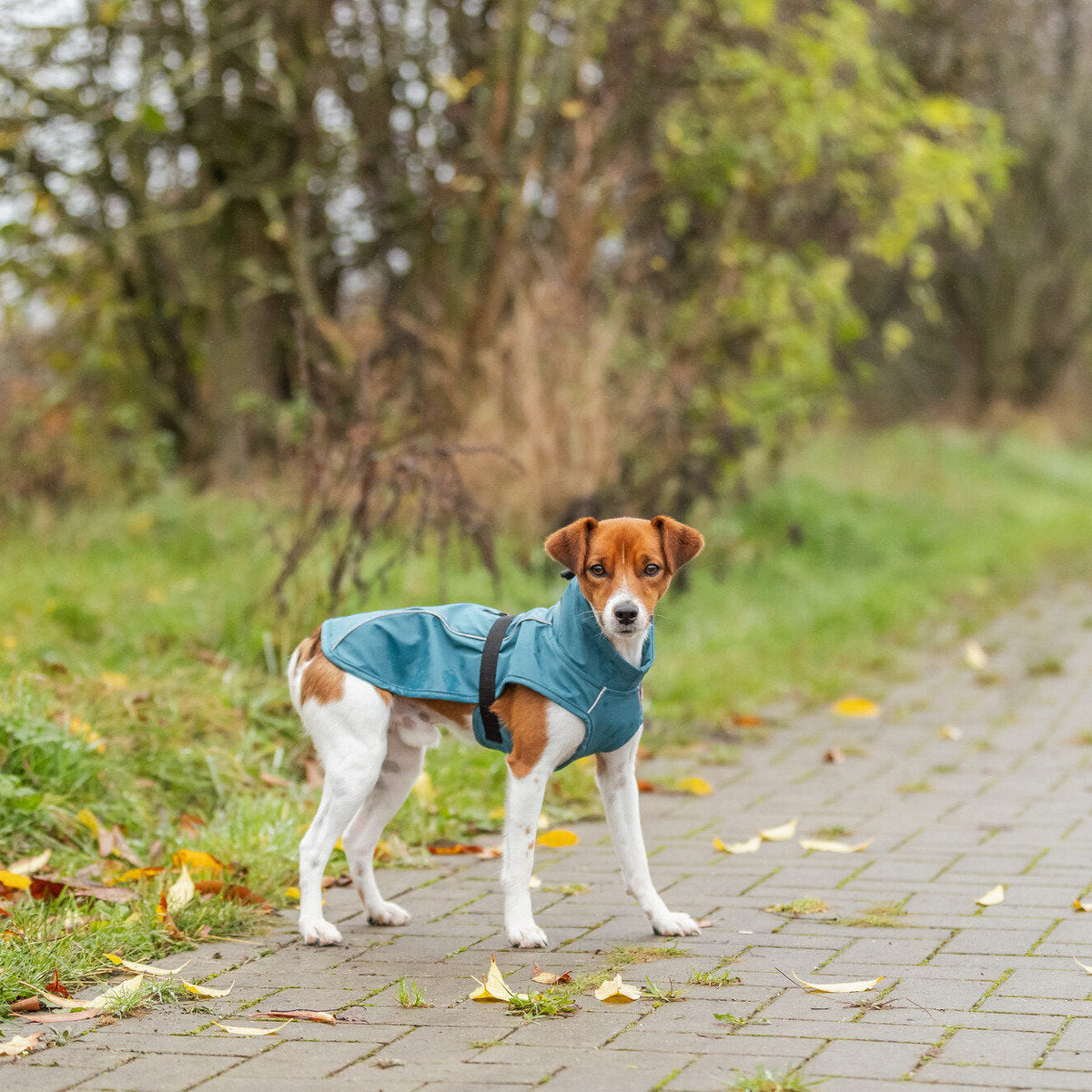 TRIXIE Regenmantel Vimy für Hunde