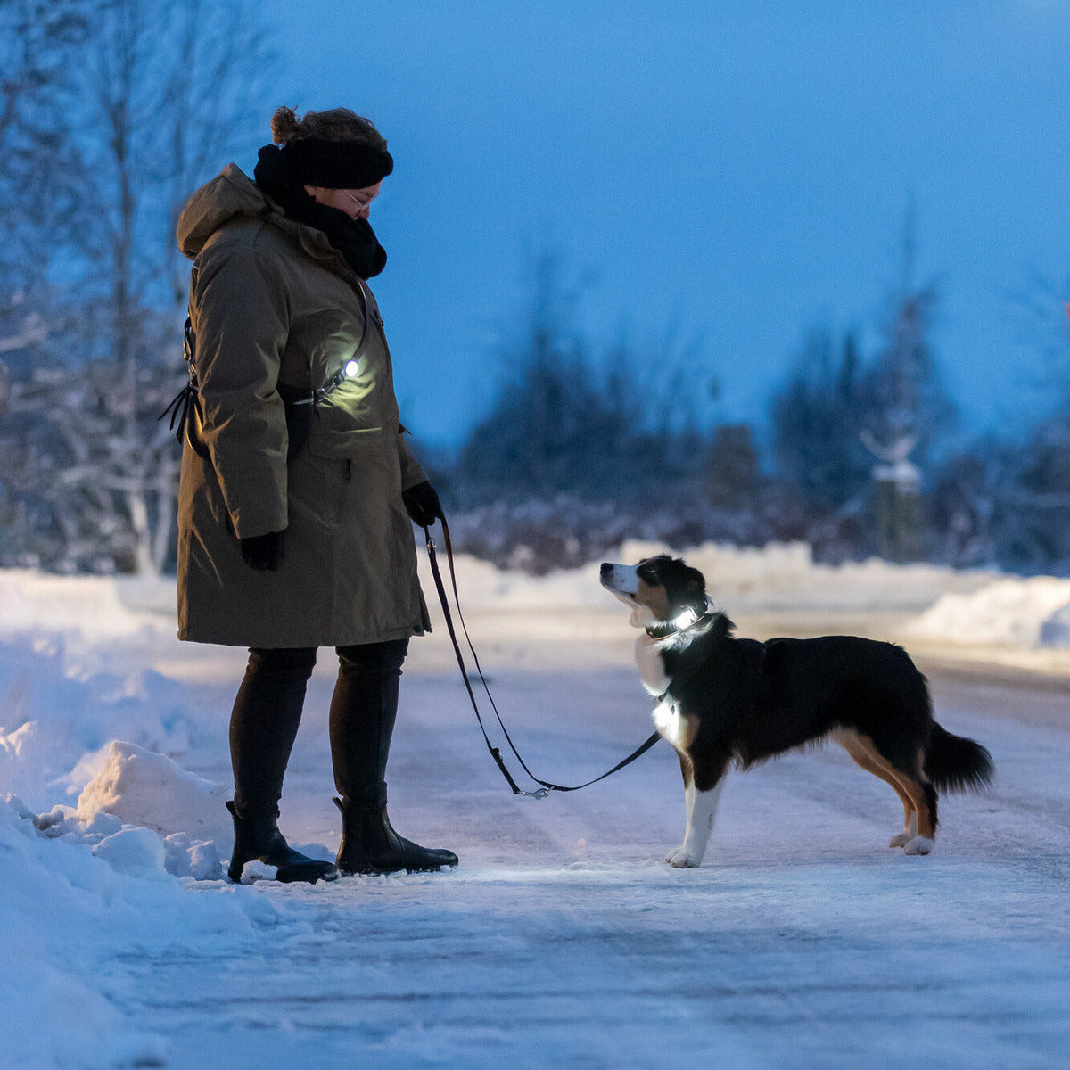 TRIXIE USB Flasher für Hunde