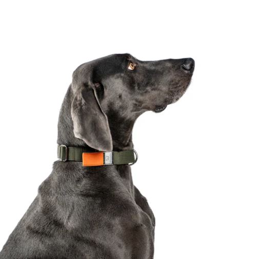 WowWow Professional Halsband