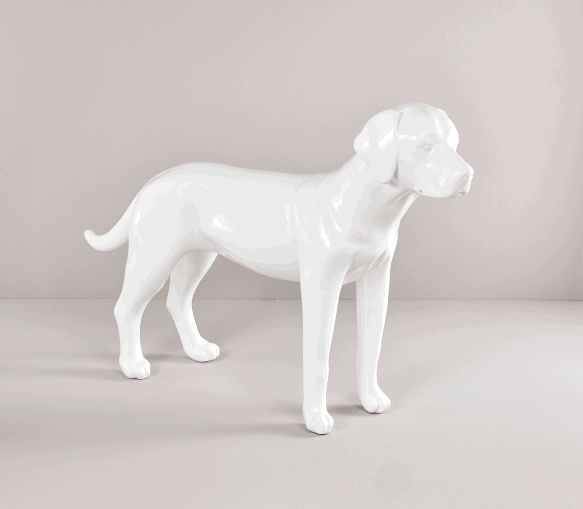 WOLTERS Cape Drizzle