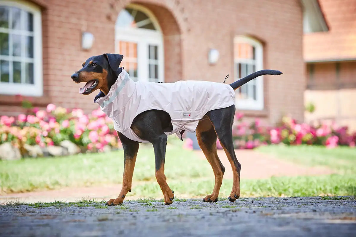 WOLTERS Outdoorjacke Modern Classic