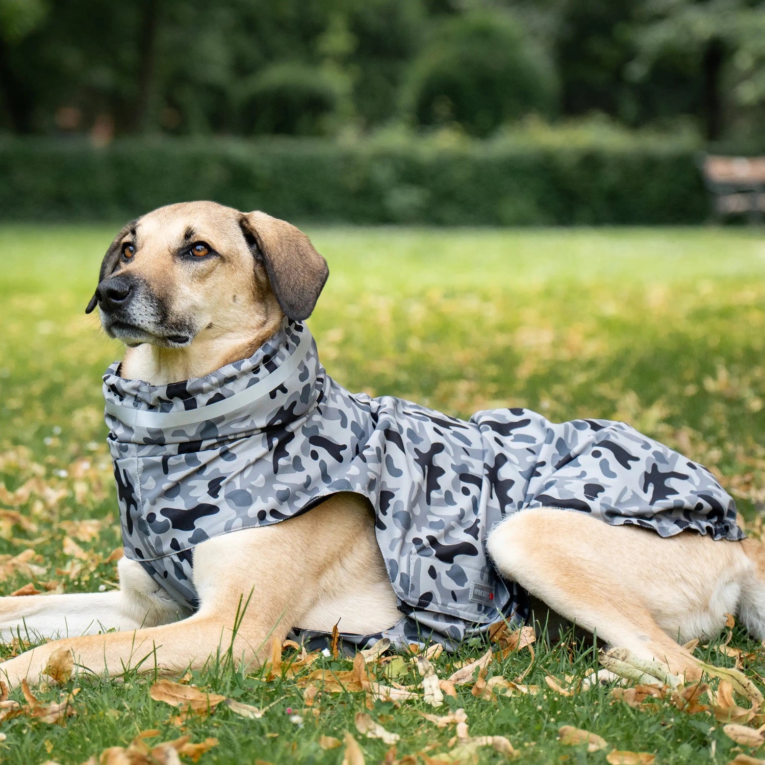 WOLTERS Regenjacke Camouflage