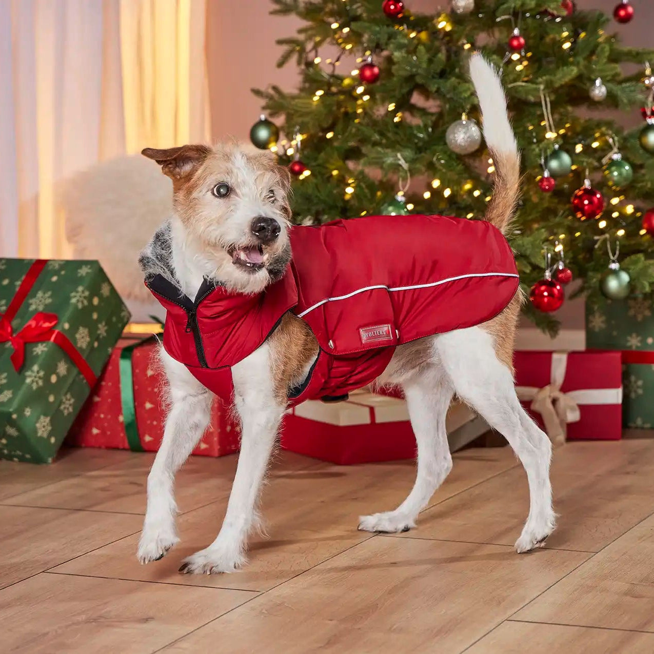 WOLTERS Winterjacke Amundsen