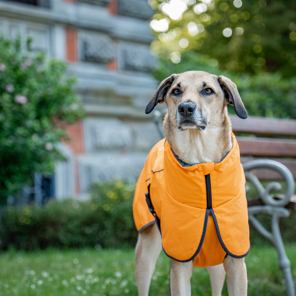 WOLTERS Cape Drizzle