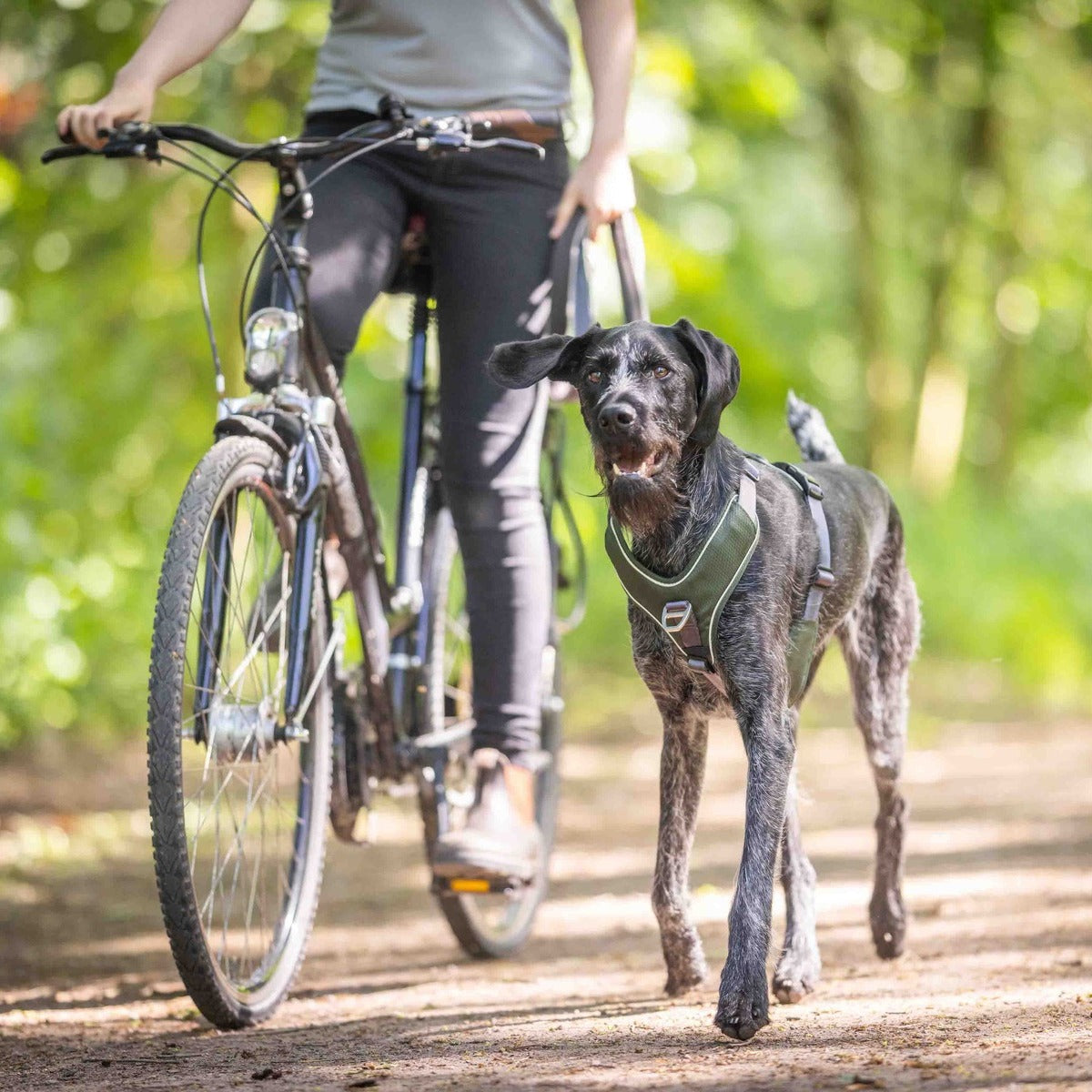 WOLTERS Geschirr Active Pro Comfort