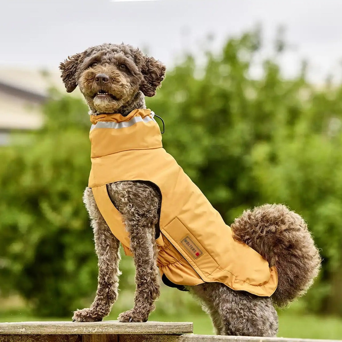 WOLTERS Outdoorjacke Modern Classic