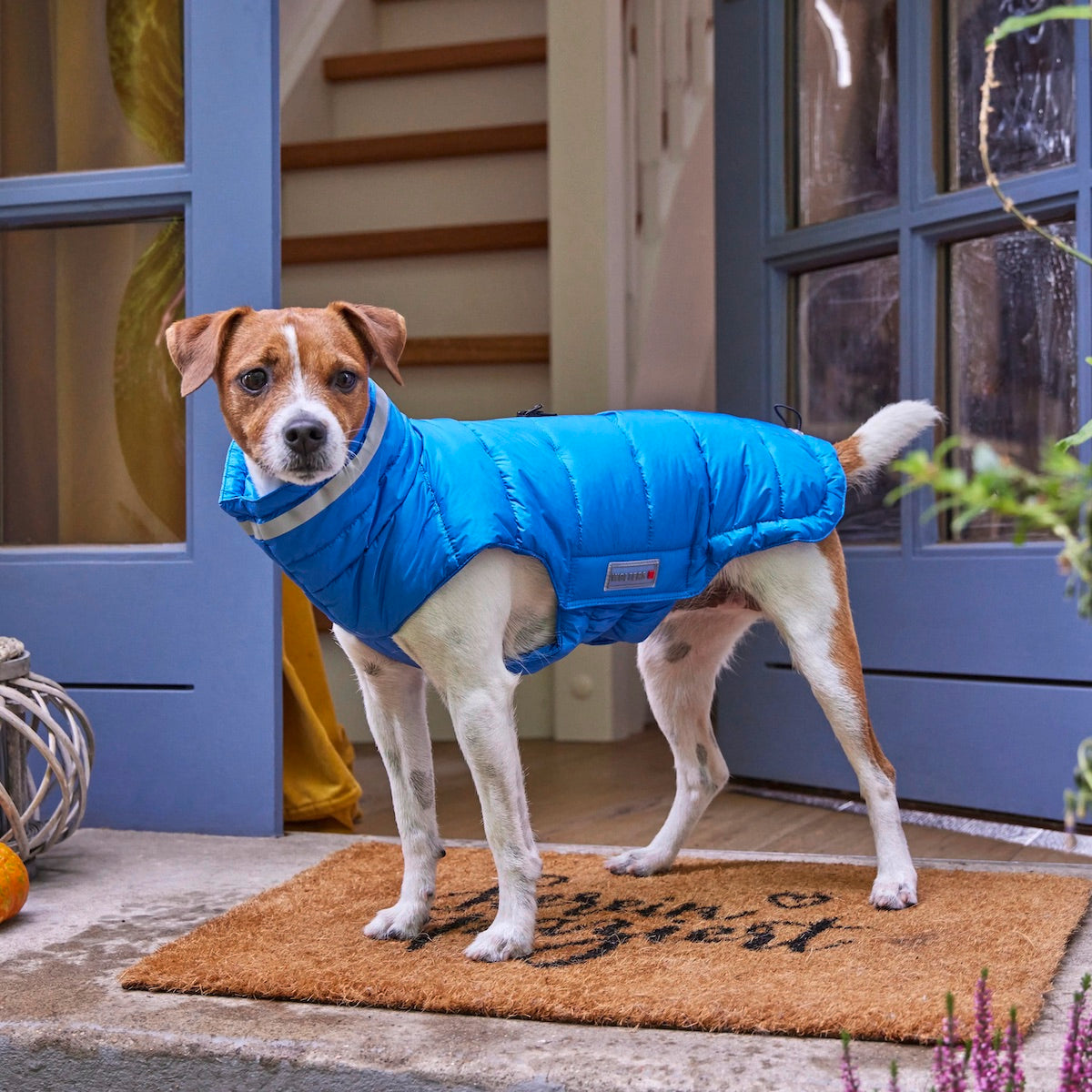 WOLTERS Steppjacke Cosy