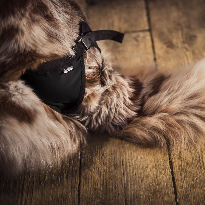 HURTTA Breezy pants (Läufigkeits-Höschen für Hündinnen), Outlet