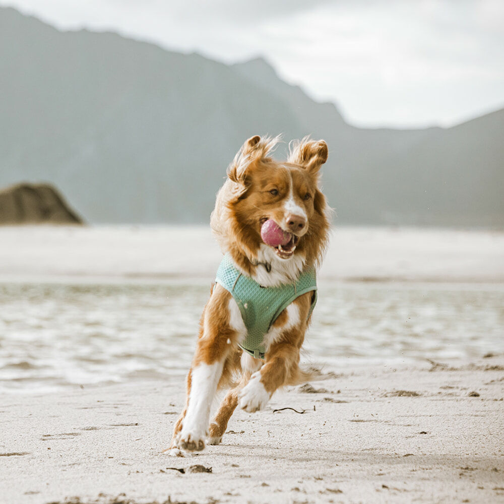 HURTTA Cooling Wrap Kühlweste