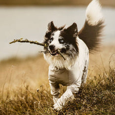 HURTTA Sonnen- und Insektenschutz Overall