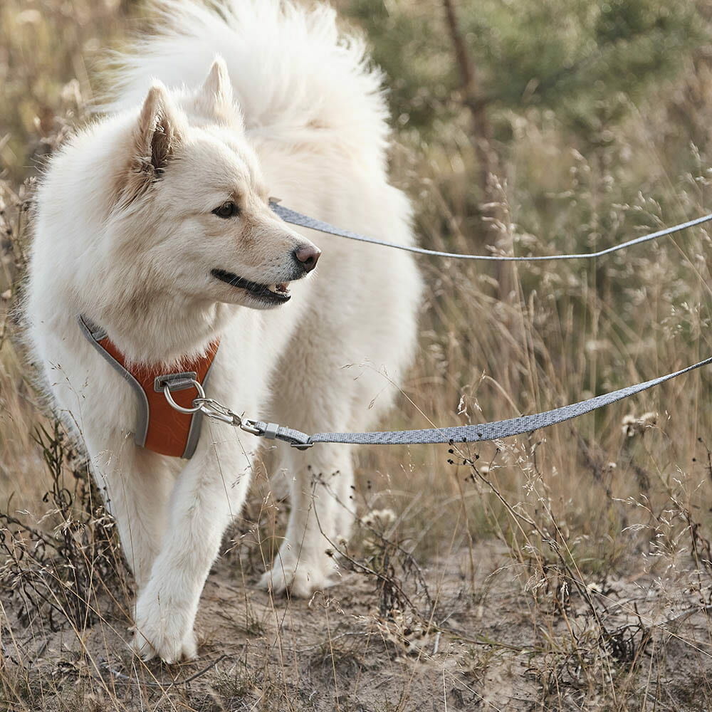 HURTTA Venture No-Pull Geschirr