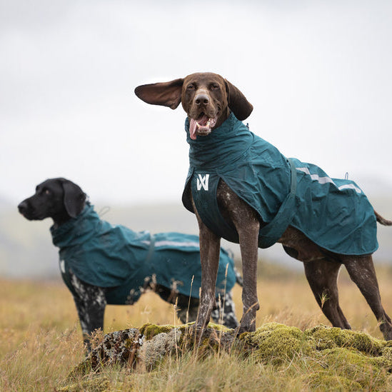 NON-STOP DOGWEAR Regenmantel Fjord Lined Raincoat