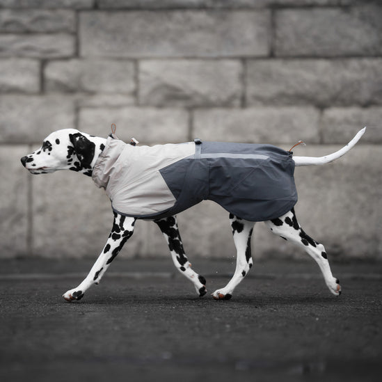 NON-STOP DOGWEAR Regenmantel Fjord raincoat 2.0