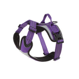 HURTTA Dazzle Geschirr, Outlet