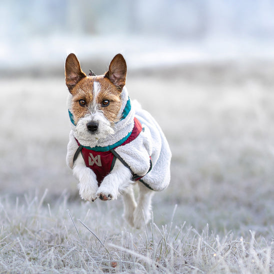 NON-STOP DOGWEAR Hundejacke Trekking Fleece Jacket