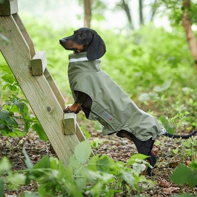 WOLTERS Outdoorjacke Modern Classic Dackel